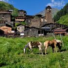 ,,tusheti '' Unberührte Natur.