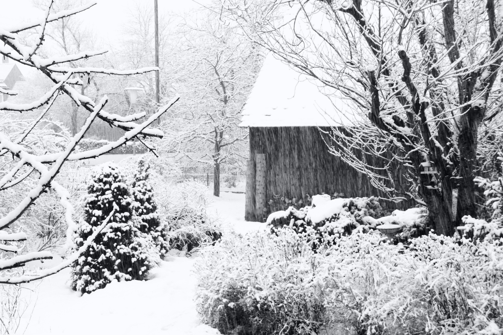 Tut mir leid, aber es schneit schon wieder ...