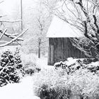 Tut mir leid, aber es schneit schon wieder ...