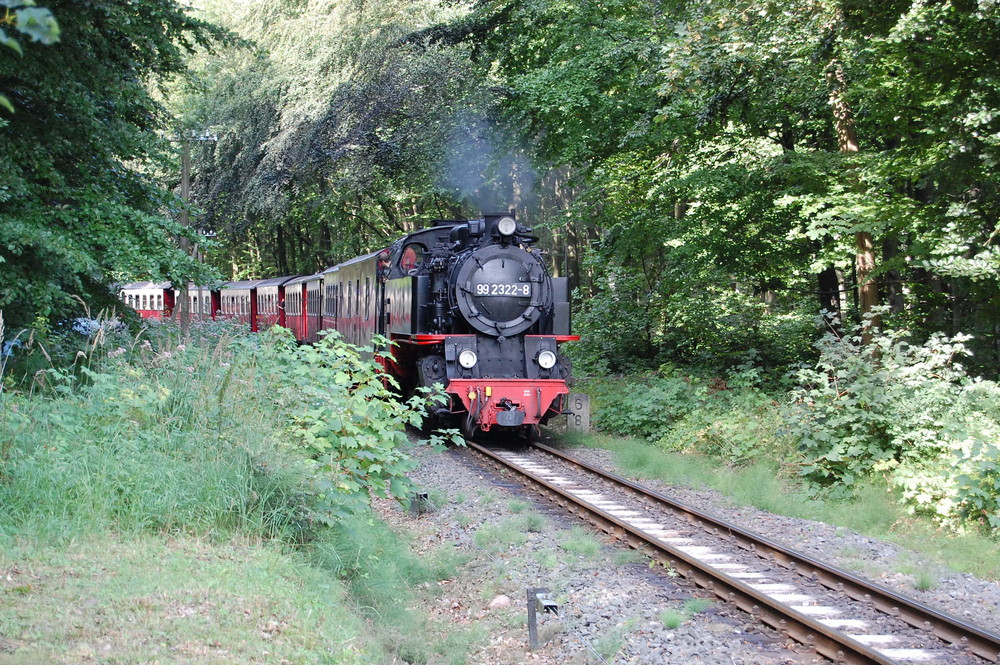 Tut tut tut, die Eisenbahn....