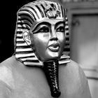 Tutankamon Veronese