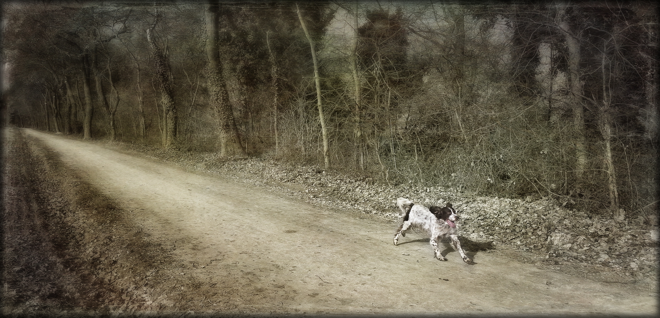 tutte le strade portano a BiBo