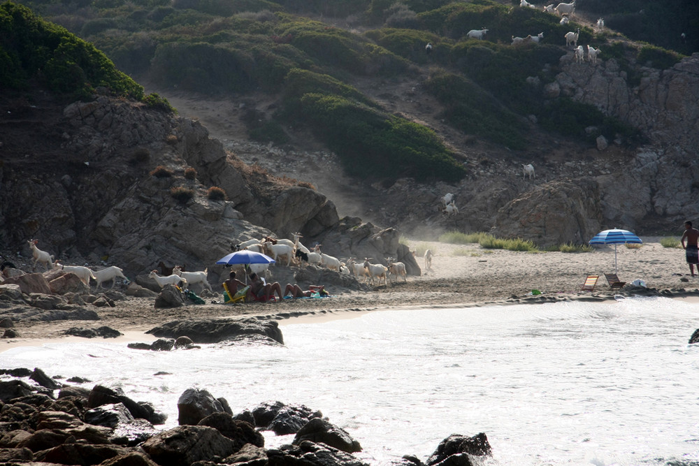 tutti al mare