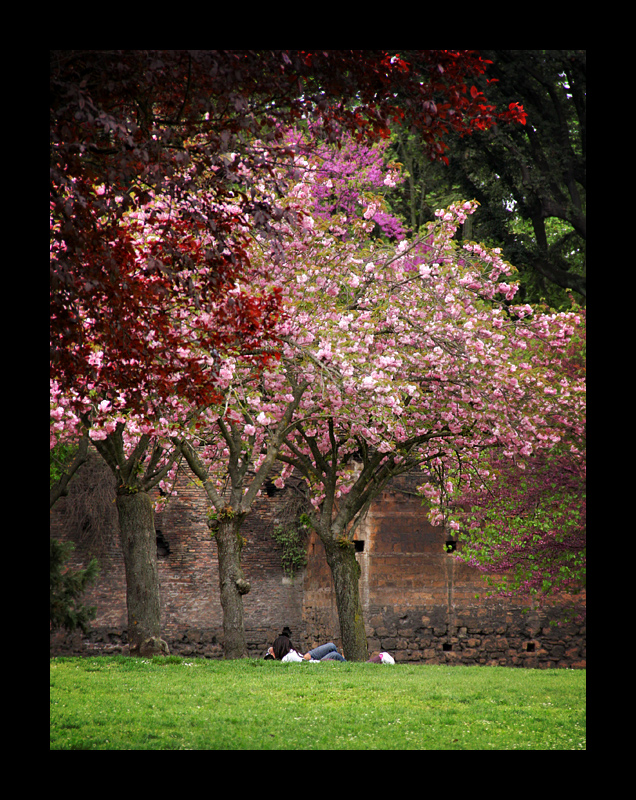 Tutti i Colori dell' Amore ( All the Colours of Love )