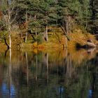 Tutti i Colori della Mia Vita / Lago delle Lame, Ottobre 2010