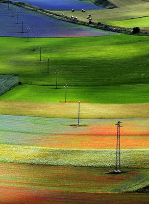 Tutti i colori dell'arcobaleno. 6