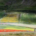 Tutti i colori dell'arcobaleno