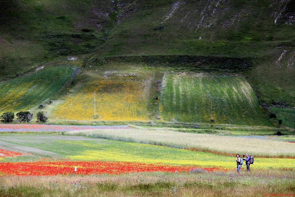 Tutti i colori dell'arcobaleno