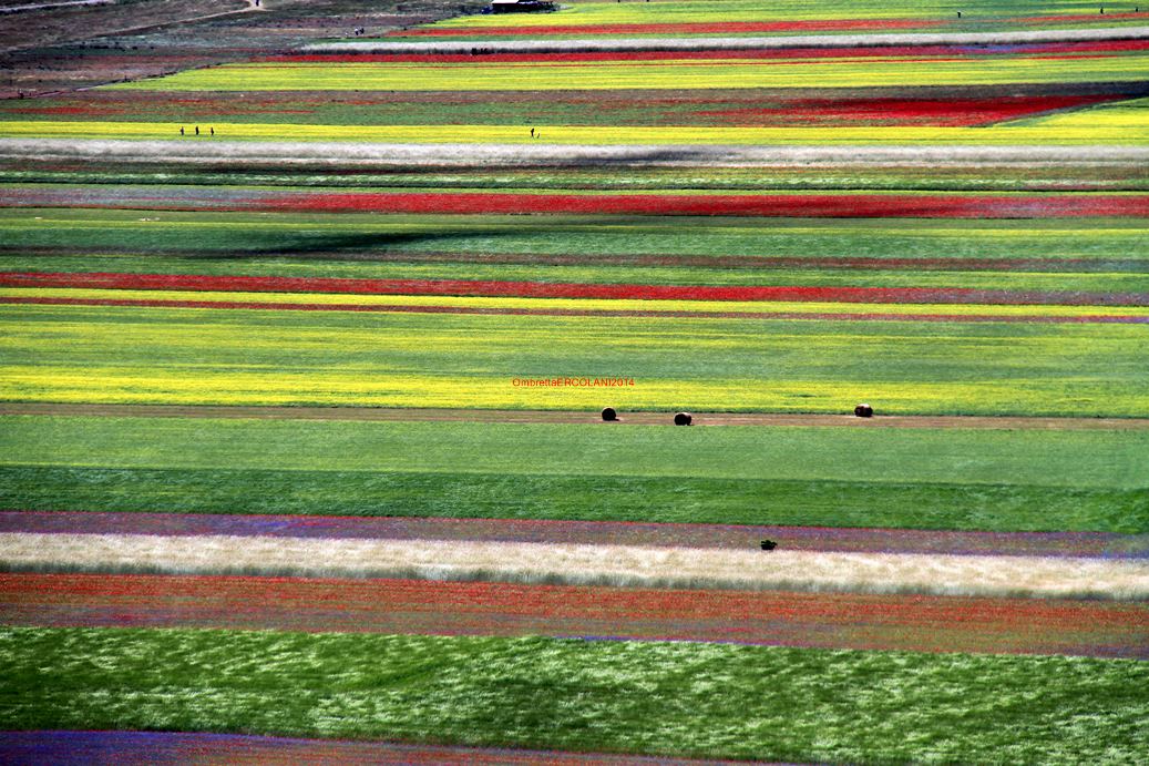 Tutti i colori dell'arcobaleno.3