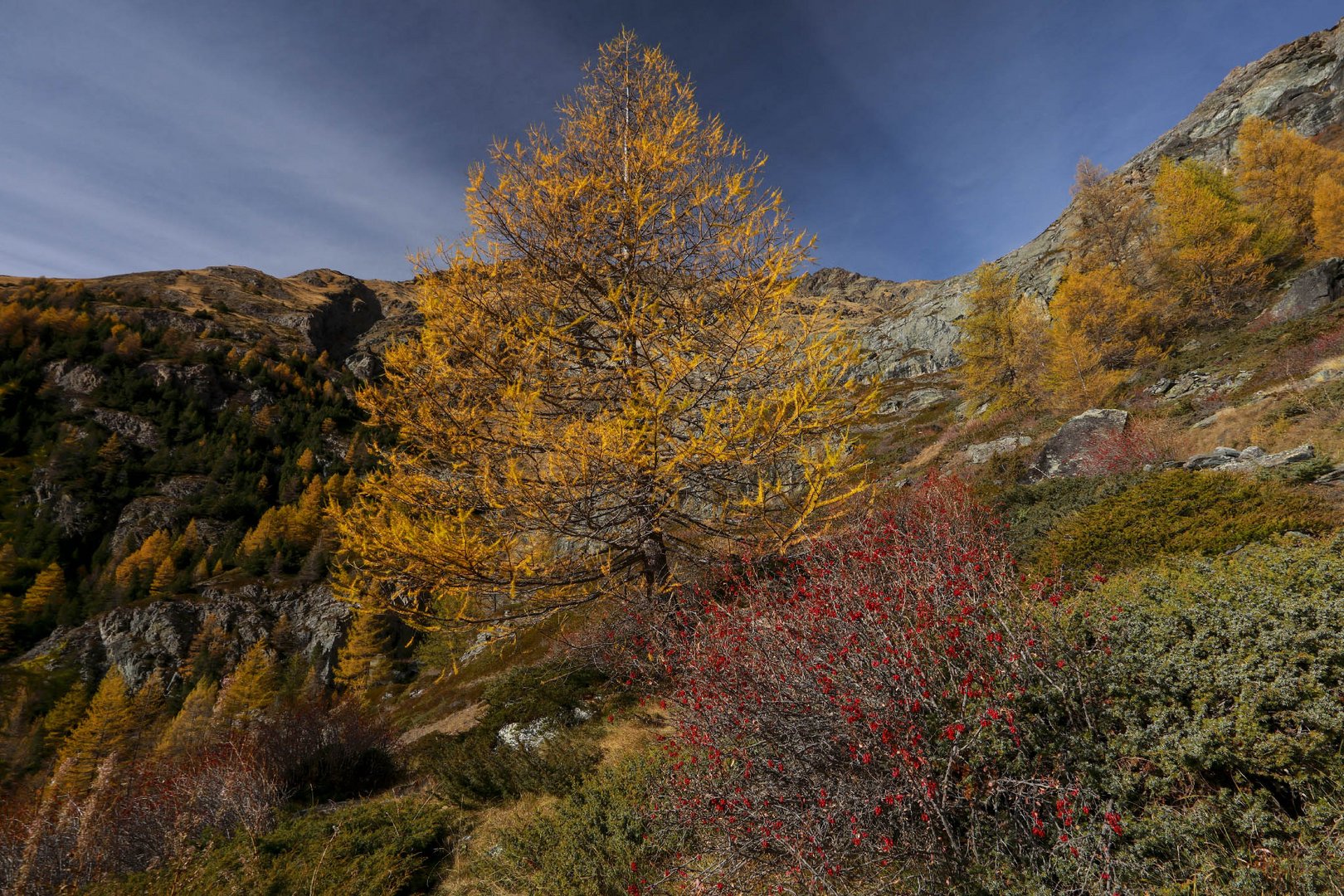 tutti i colori dell'autunno