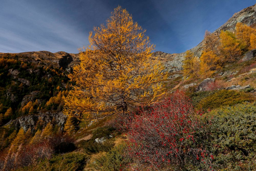 tutti i colori dell'autunno