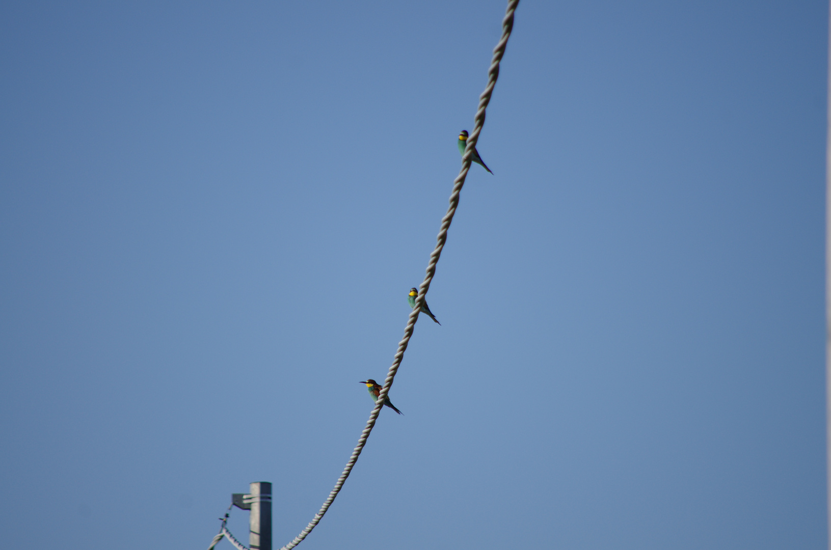 Tutti in fila per tre