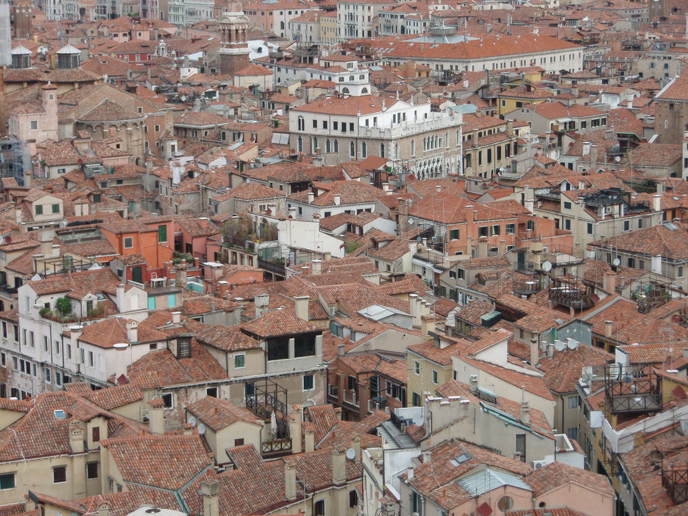 Tutto Tetti di Andrea Sara 