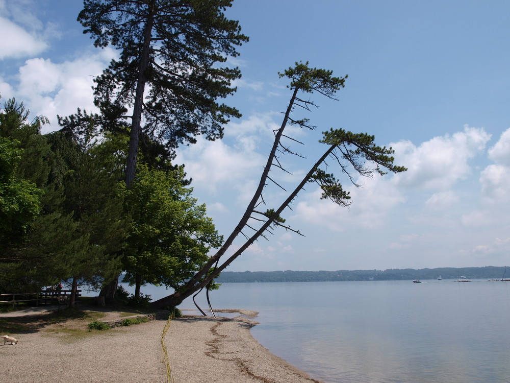 Tutzing beach am Starnberger See Foto & Bild deutschland, europe, bayern Bilder auf