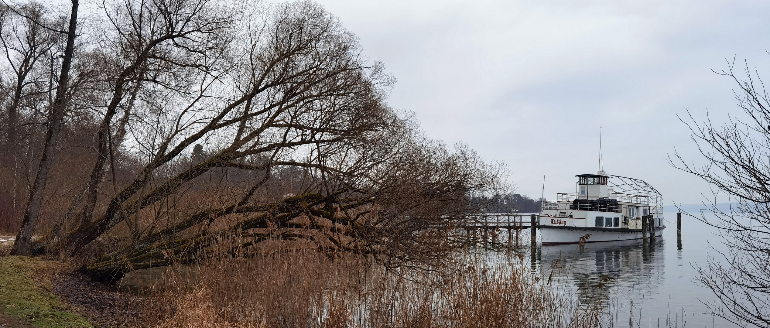 Tutzing in den Binsen