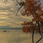 Tutzing, Starnberger See – Herbstmorgen