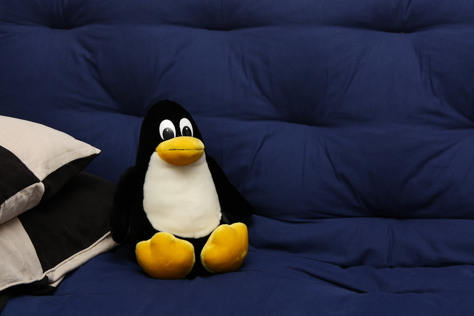 Tux auf dem Sofa #1