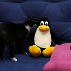 Tux auf dem Sofa #3