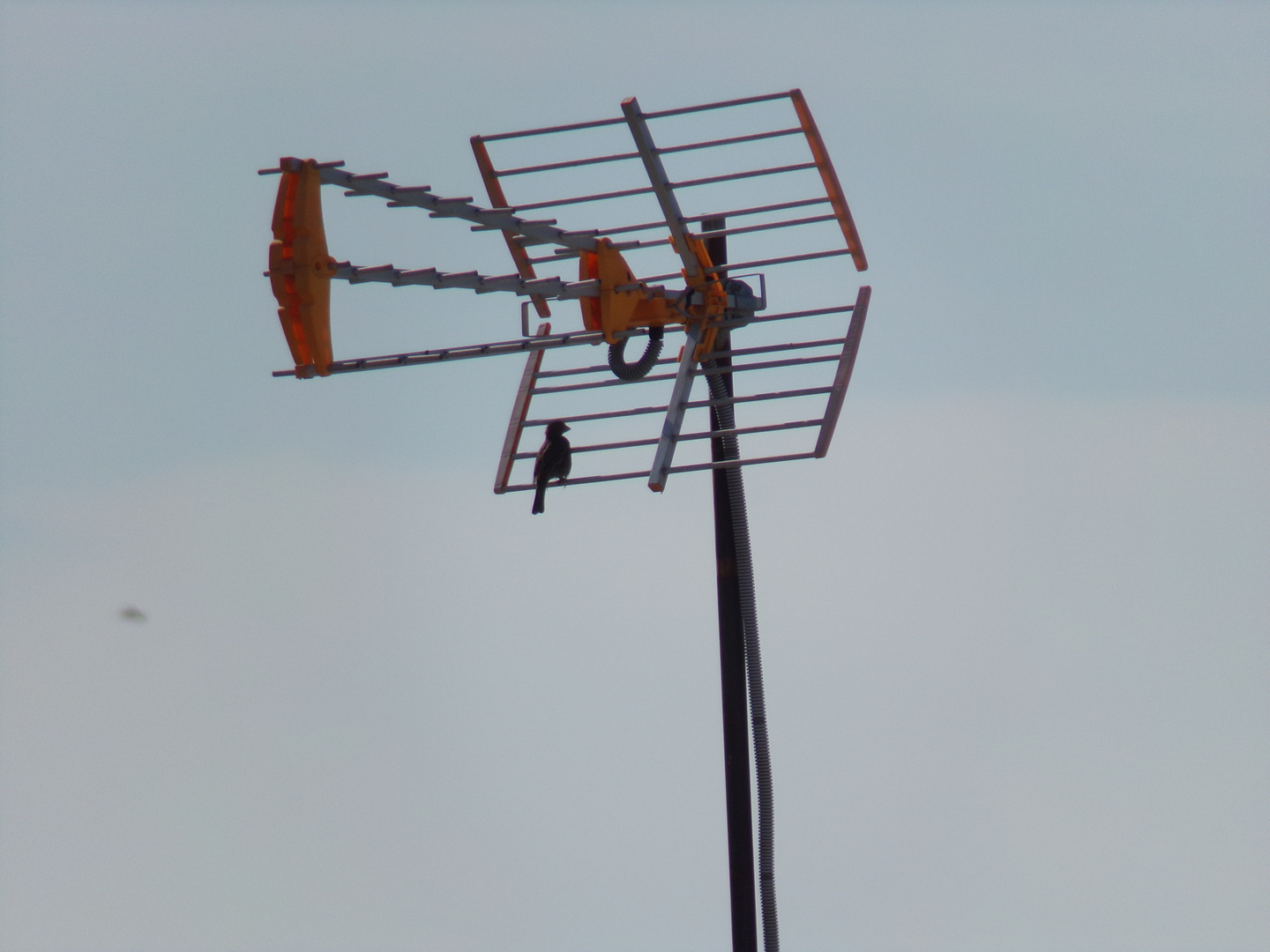 tv antenna on roof top nea ionia athens greece