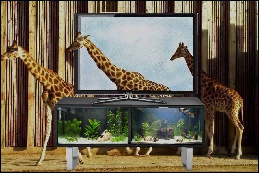 TV en 3D