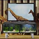 TV en 3D