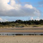 Tversted Hundeskov  - Am gleichnamigen Strand