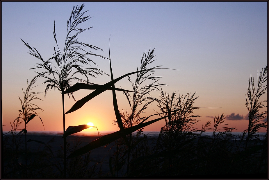 Tversted solnedgang