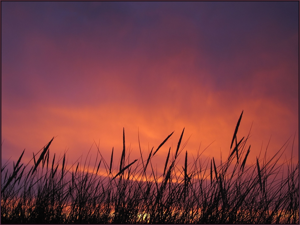 Tversted solnedgang