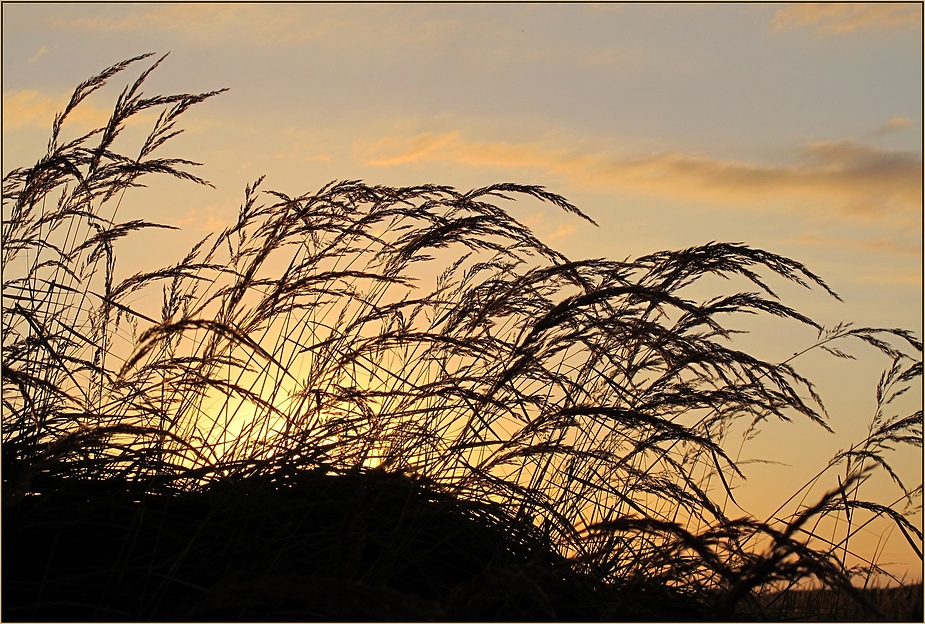 Tversted solnedgang