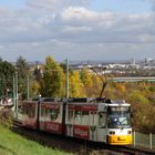 Tw 210 der Mainzer Verkehrsgesellschaft erklimmt die Römerquelle in Mainz-Finthen