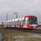 Tw 212 der RNV passiert den Ortseingang Mannheim-Wallstadt