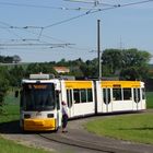 Tw 216 in der Gleisschleife Mainz Bürgerhaus