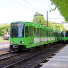 TW 6000 auf der Linie 5