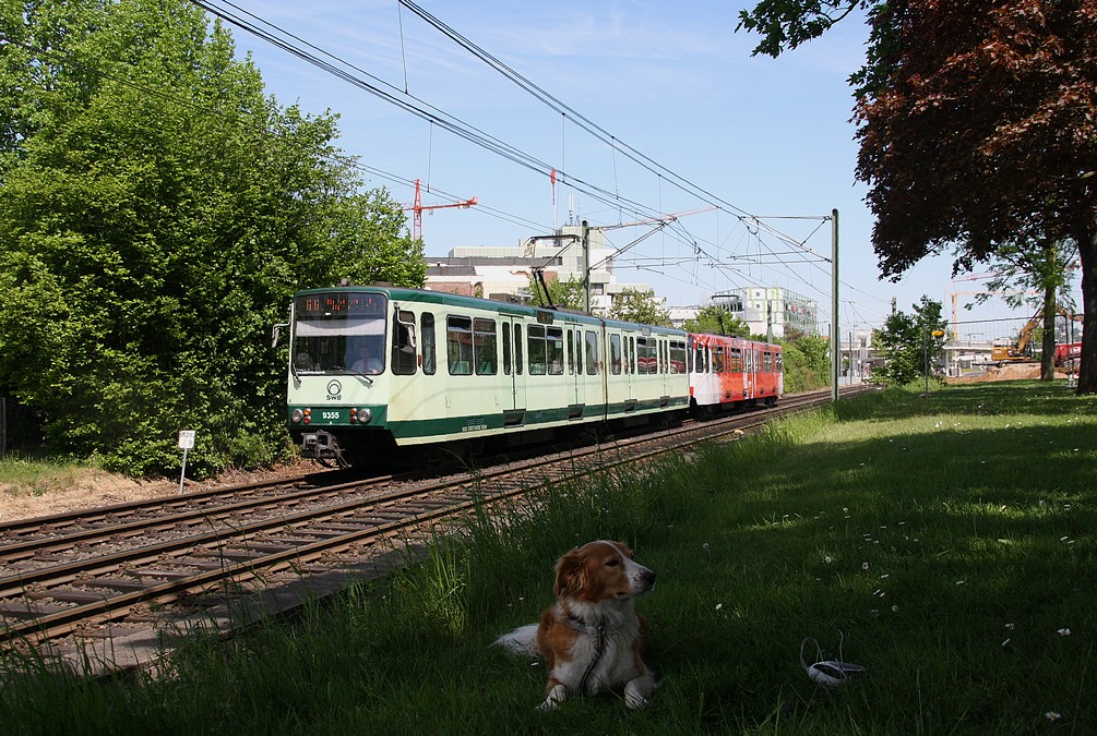 Tw 9355 in St Augustin