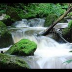 Twannbachschlucht #1