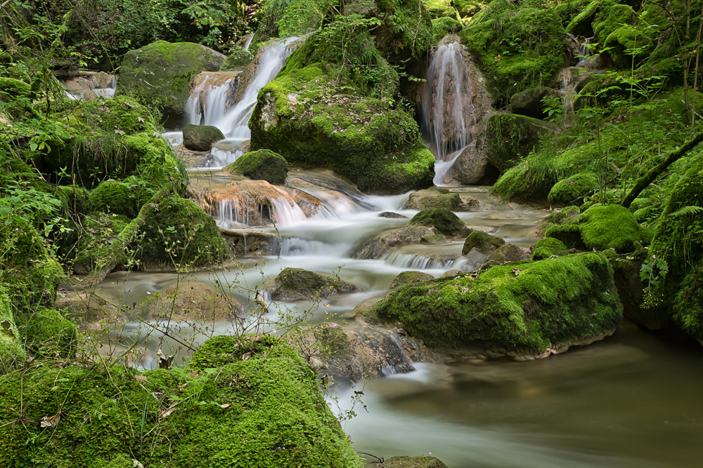 Twannbachschlucht ( 2 )