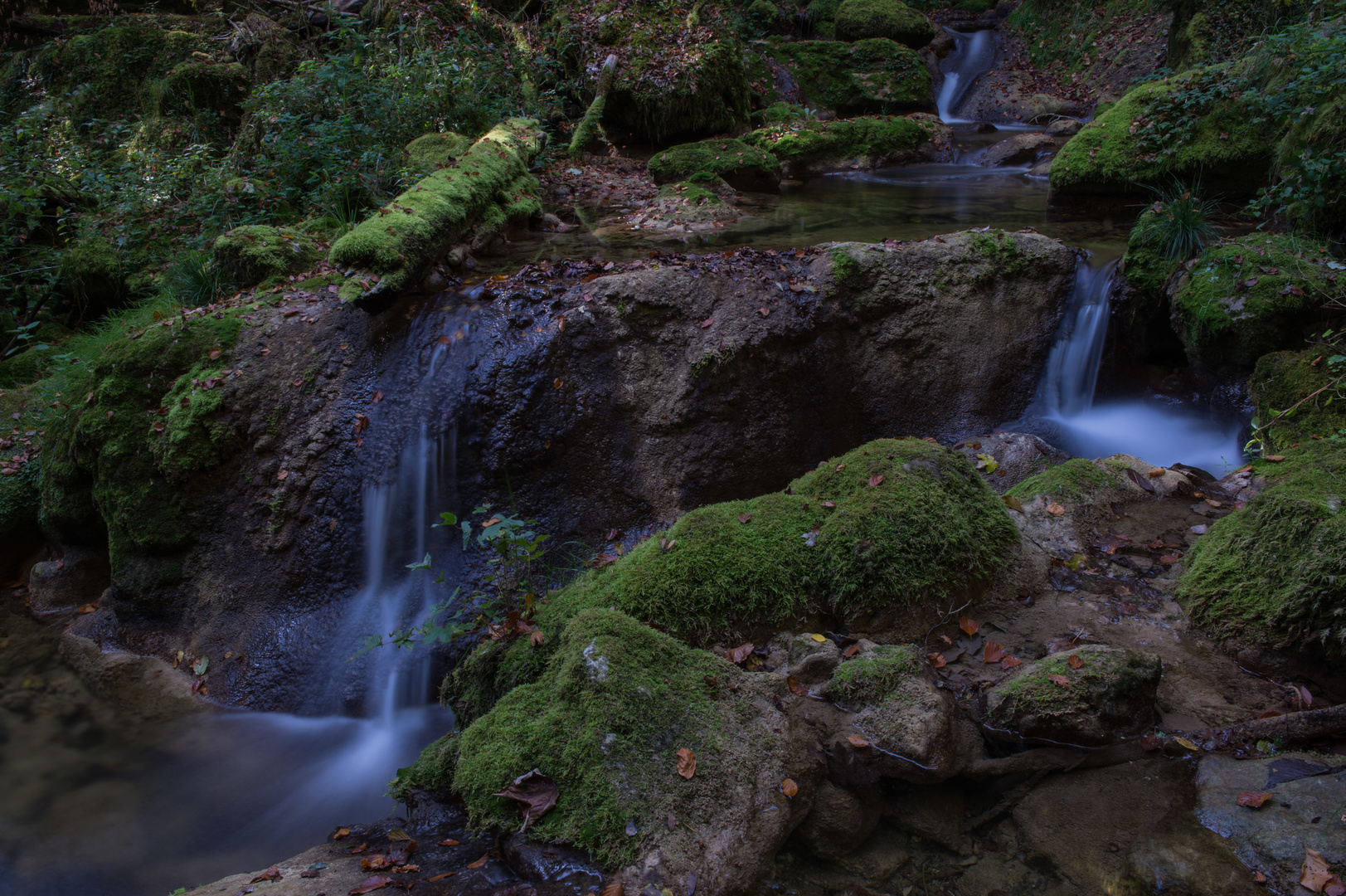 Twannbachschlucht 2