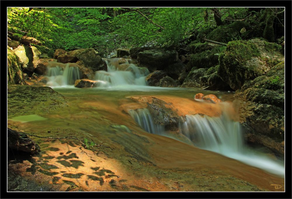 Twannbachschlucht