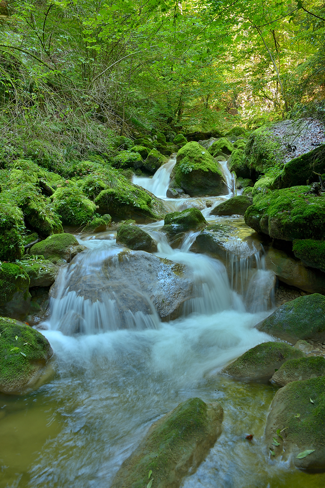 Twannbachschlucht