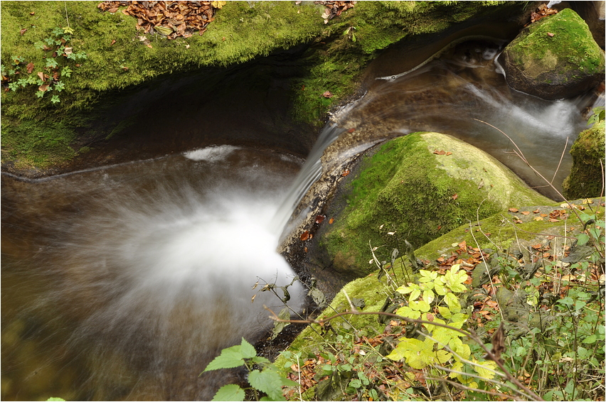 Twannbachschlucht