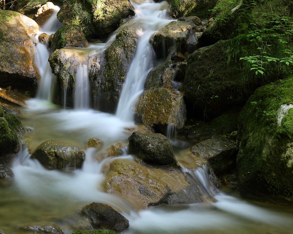 Twannbachschlucht