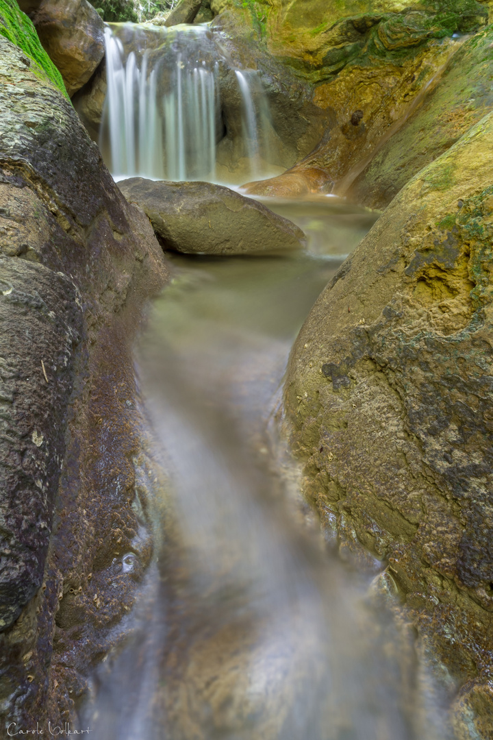 Twannbachschlucht II