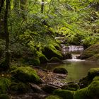 Twannbachschlucht, Mittelerde vor der Haustüre