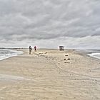 Twee zeehondjes op het strand.....04.09.2012...