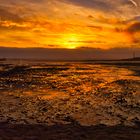 Tweed Estuary Sunrise