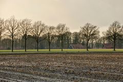 Twente Scenery In Vicinity Of Lattrop