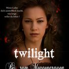 Twilight 1