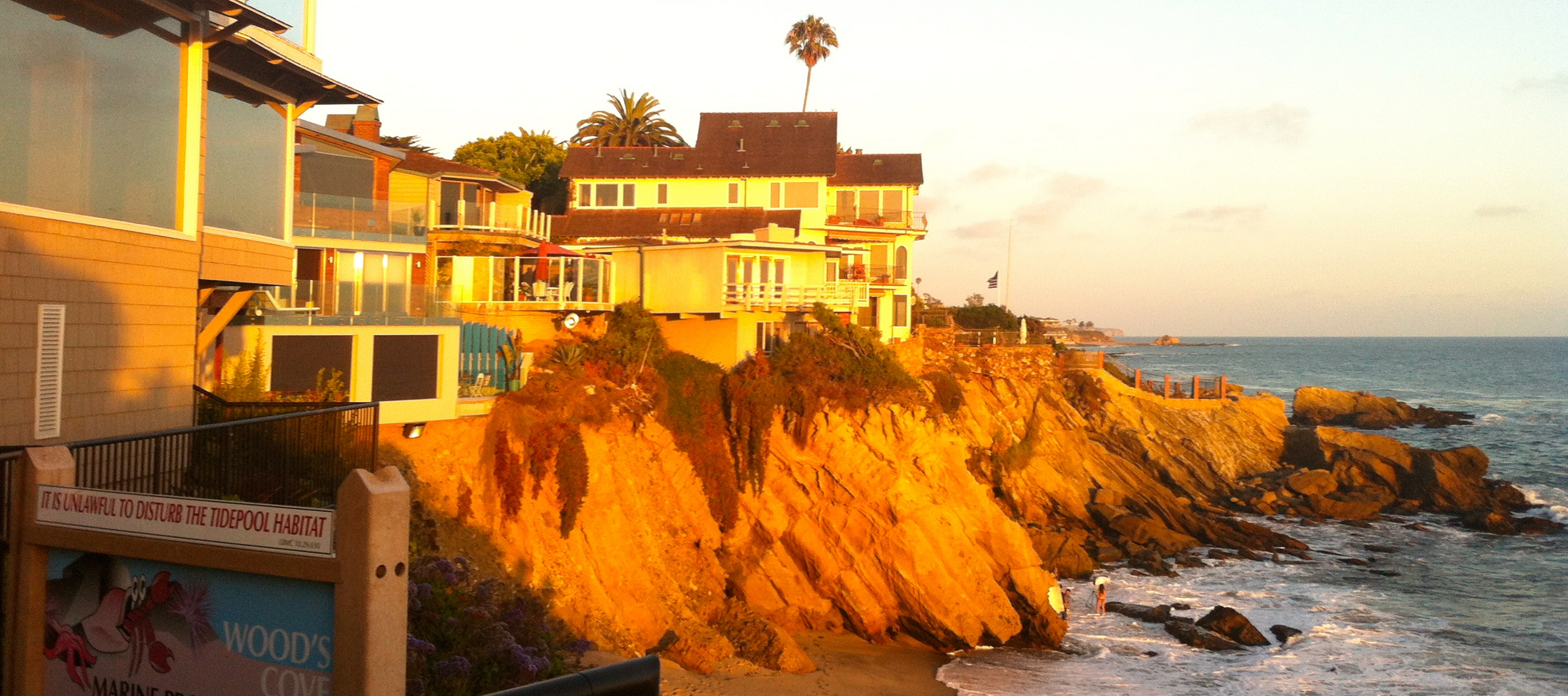 Twilight Dive with NBTT - Laguna Beach, CA