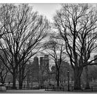 Twilight in Central Park .I.