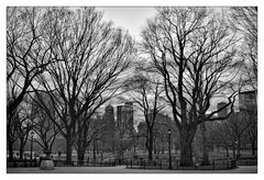 Twilight in Central Park .I.